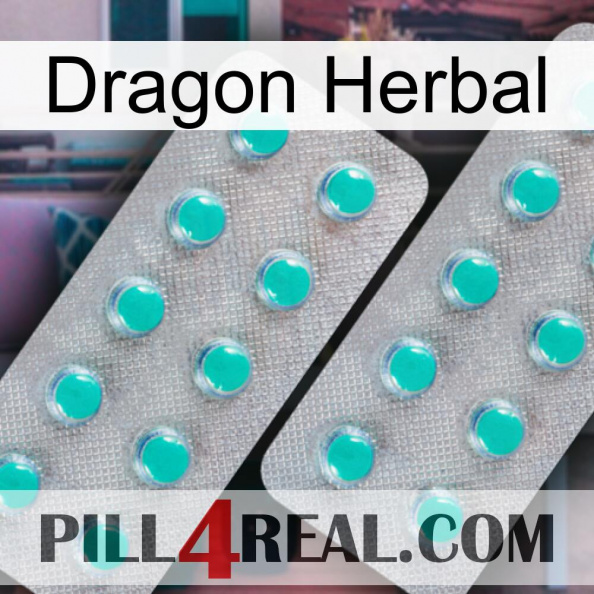 Dragon Herbal 29.jpg